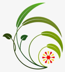 Plant,flora,leaf - Icon, HD Png Download, Transparent PNG