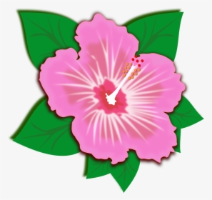 Flores Cliparts - Rainforest Flower Clipart, HD Png Download, Transparent PNG