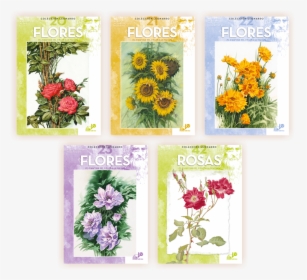 Maimeri Fiori - Bouquet, HD Png Download, Transparent PNG