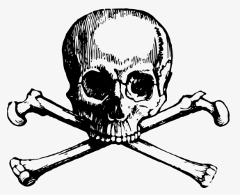 Skull And Bones Skull And Crossbones Clip Art - Skull N Bones Png, Transparent Png, Transparent PNG