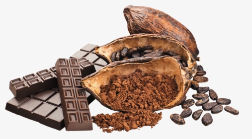 Cacao Png - Chocolate And Cocoa Beans, Transparent Png, Transparent PNG