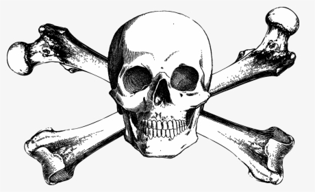 And Bones Drawing Skull Crossbones Free Download Png - Free Skull And Crossbones, Transparent Png, Transparent PNG