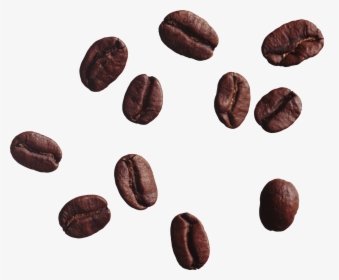 Cocoa - Coffee Beans Transparent Background, HD Png Download, Transparent PNG