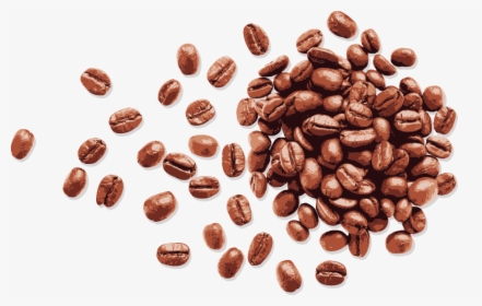 Coffee Bean Espresso - Transparent Background Coffee Beans Png, Png Download, Transparent PNG