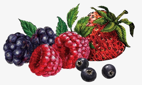 Images In Collection Page Transparent Background - Transparent Mixed Berries, HD Png Download, Transparent PNG