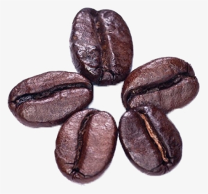 Cocoa-bean - Coffee Bean Png, Transparent Png, Transparent PNG