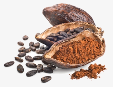 Cocoa For Chocolate, HD Png Download, Transparent PNG