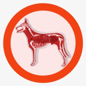 Pets Clipart Dog Bone - Ancient Dog Breeds, HD Png Download, Transparent PNG
