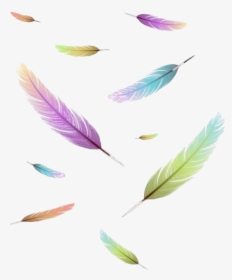 #freetoedit #sticker #icon #feder #feather #wrote #write - Feather, HD Png Download, Transparent PNG