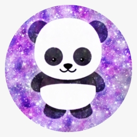 Cute Panda - Animated Pictures Of Pandas, HD Png Download, Transparent PNG