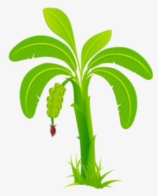 Banana Leaf Business - Banana Tree Clipart Png, Transparent Png, Transparent PNG