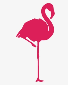 Thumb Image - Flamingo Logo Png, Transparent Png, Transparent PNG