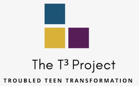 Transparent T3 Logo - Flag, HD Png Download, Transparent PNG