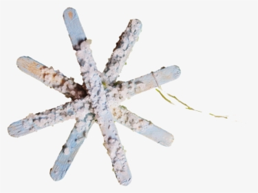 Snow, HD Png Download, Transparent PNG