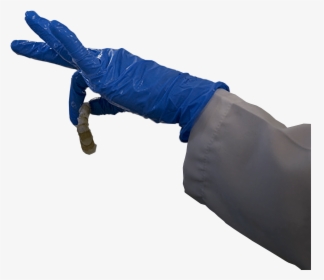 Leather, HD Png Download, Transparent PNG