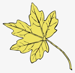 Maple Leaf Drawing Small, HD Png Download, Transparent PNG