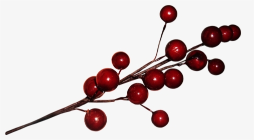 [​img] - Cherry, HD Png Download, Transparent PNG