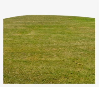 #grama - Lawn, HD Png Download, Transparent PNG