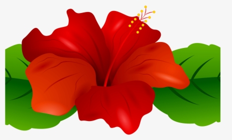 Hibiscus Clipart Flower Boarder, Hibiscus Flower Boarder - Portable Network Graphics, HD Png Download, Transparent PNG