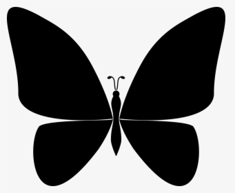 Butterfly Wings Nature Free Photo - Butterfly, HD Png Download, Transparent PNG