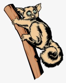 Vector Illustration Of Bright Eyed And Bushy Tailed - Kitten, HD Png Download, Transparent PNG