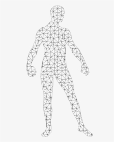 Man Wireframe Silhouette - Standing, HD Png Download, Transparent PNG