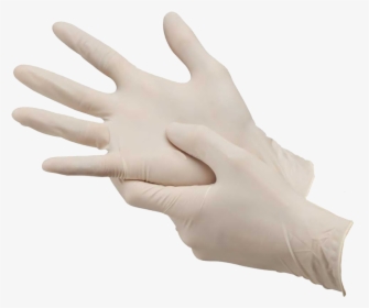 Canpaco Latex Gloves - Latex Powdered Examination Gloves, HD Png Download, Transparent PNG