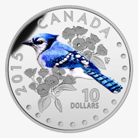 2015 $10 Colourful Songbirds Of Canada Blue Jay, HD Png Download, Transparent PNG