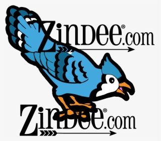 Blue Jay Coloring Page, HD Png Download, Transparent PNG