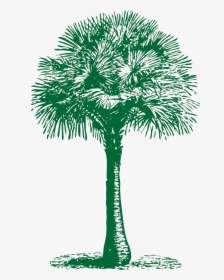 Transparent Palm Png - Tree Fan Clip Art, Png Download, Transparent PNG