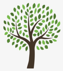 Family Tree Template Png, Transparent Png, Transparent PNG