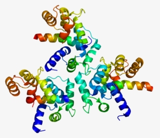 Protein Cacna1d Pdb 2be6 - Cav1 2, HD Png Download, Transparent PNG