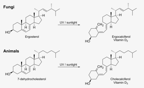 Vitamin D Ergosterol Structure, HD Png Download, Transparent PNG