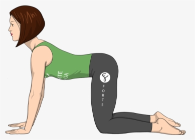Cow Pose Forte Yoga, HD Png Download, Transparent PNG