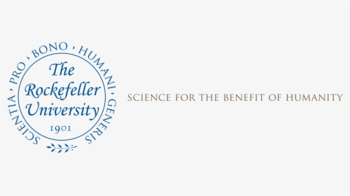 Rockefeller University, HD Png Download, Transparent PNG