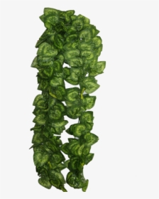Artificial Green Hanging Vine Leaves - Green Leaf Hanging Png, Transparent Png, Transparent PNG