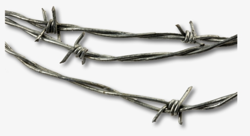 Barbed Wire Png , Png Download - Barbed Wire Png Free, Transparent Png, Transparent PNG