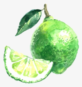 Picture - Lime, HD Png Download, Transparent PNG