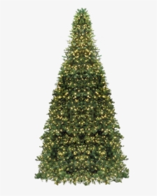 Commercial Frame Tower Tree   Class - Giant Christmas Tree Png, Transparent Png, Transparent PNG