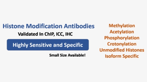 Antibody Png, Transparent Png, Transparent PNG