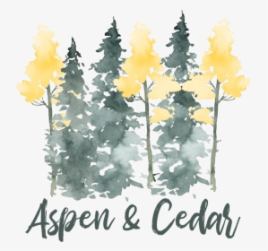 Aspen Trees - Forsythia, HD Png Download, Transparent PNG