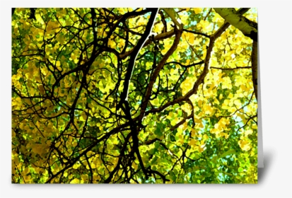 Aspen Gold Greeting Card - Stained Glass, HD Png Download, Transparent PNG