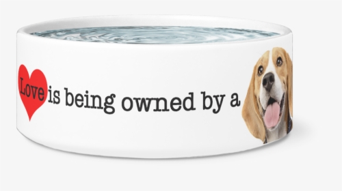 Large Dog Bowl, Love Is Being Owned By A Beagle, - Head First Programming, HD Png Download, Transparent PNG