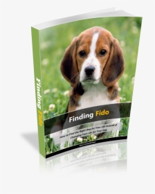 Finding Fido - Beagle Dog, HD Png Download, Transparent PNG