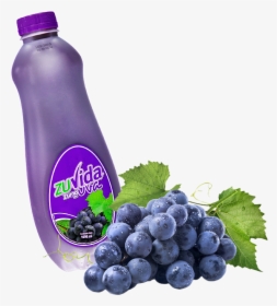 Grapes On White Background, HD Png Download, Transparent PNG