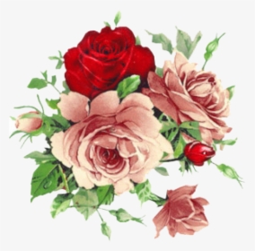 Vintage Roses Png - Floral Old Rose Png, Transparent Png, Transparent PNG