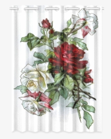 Vintage Roses Red White Floral New Window Curtain - Garden Roses, HD Png Download, Transparent PNG