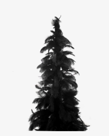 Feather Christmas Tree, HD Png Download, Transparent PNG