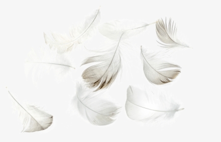 Title - Illustration, HD Png Download, Transparent PNG