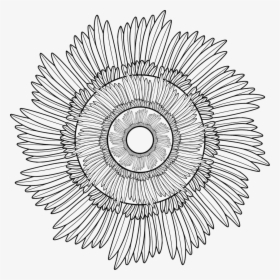 Picture Of Field Of Feathers Coloring Page - Mandala Art Illustrator, HD Png Download, Transparent PNG